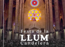 The Light Festival in La Seu (Palma Cathedral)