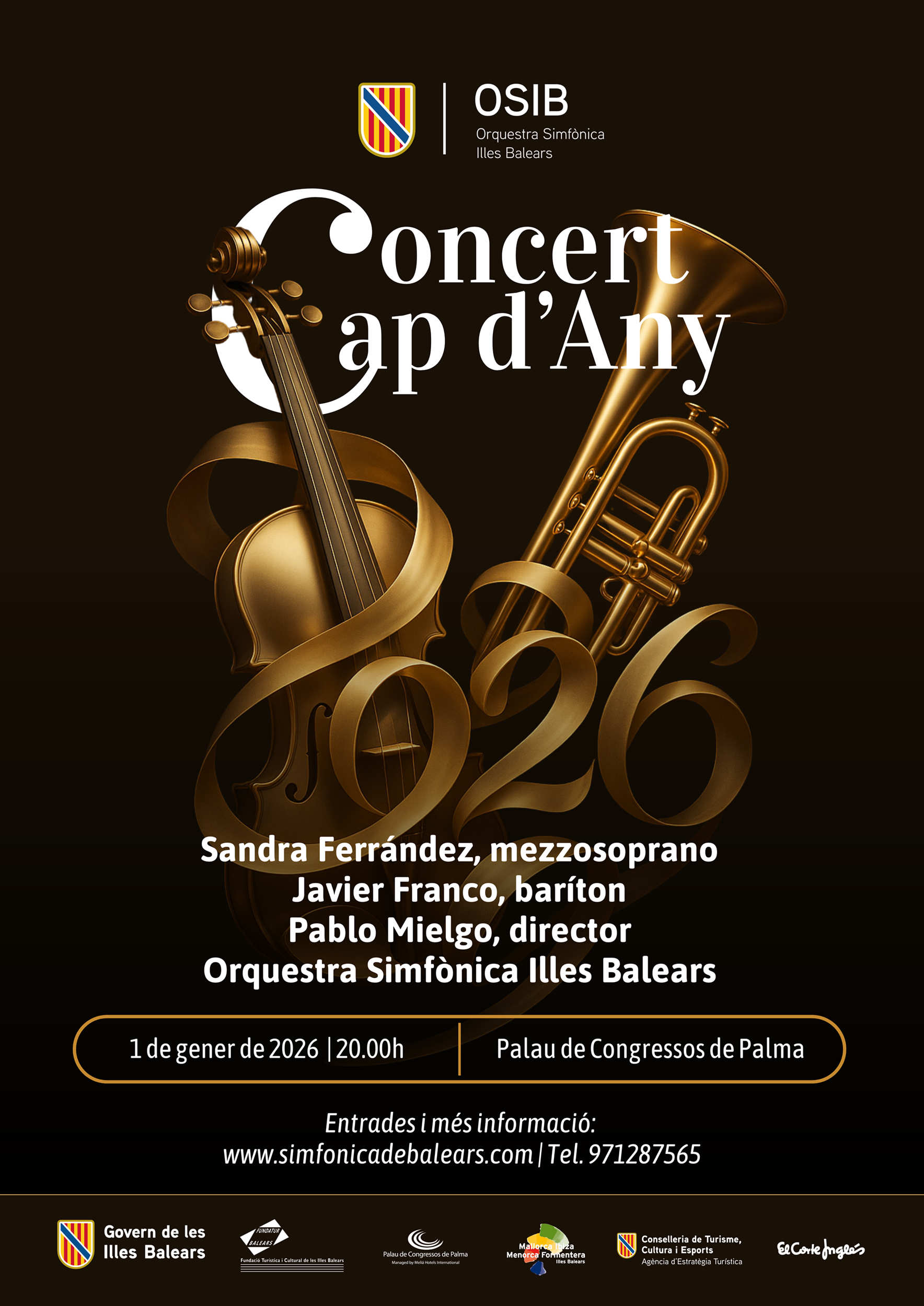 Concierto año nuevo