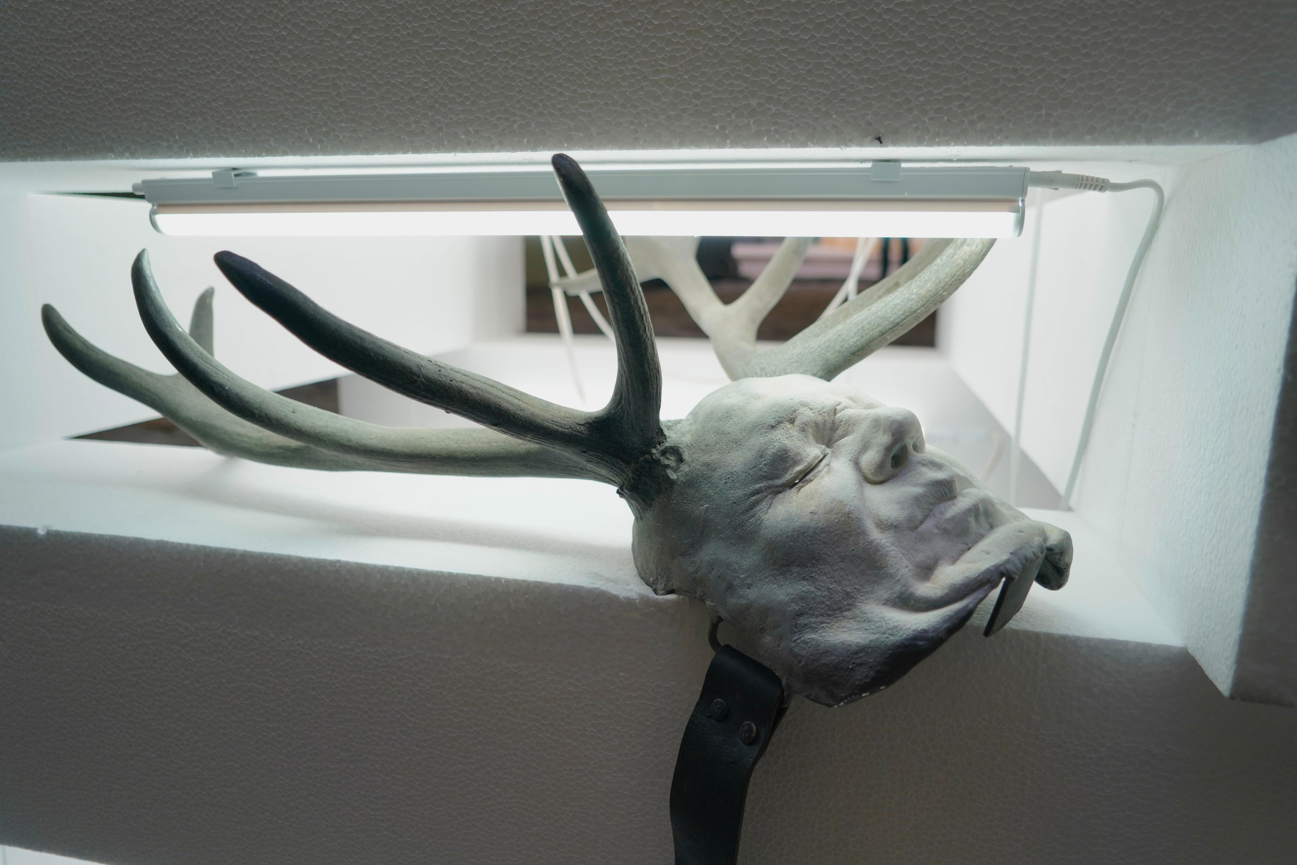 Bernardi Roig. La habitación roja