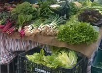 Mercado semanal de Bunyola