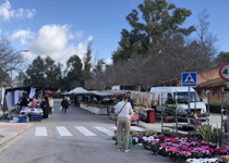 Mercado semanal de Santa Ponça