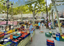 Mercadillo de frutas y verduras