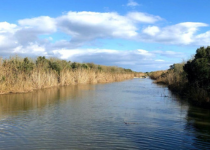 ‘The treasure of the Albufera d'Alcúdia’ 