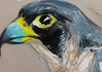 XXXI Fira de Son Ferriol 