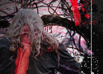  ‘Yo no tengo dónde estar’ 