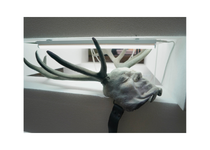 Bernardi Roig. La habitación roja